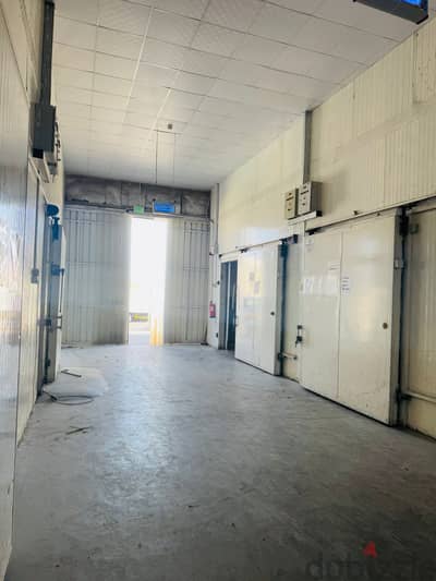 FROZEN & CHILLER STORAGE FOR RENT – INDUSTRIAL AREA, ST. 3