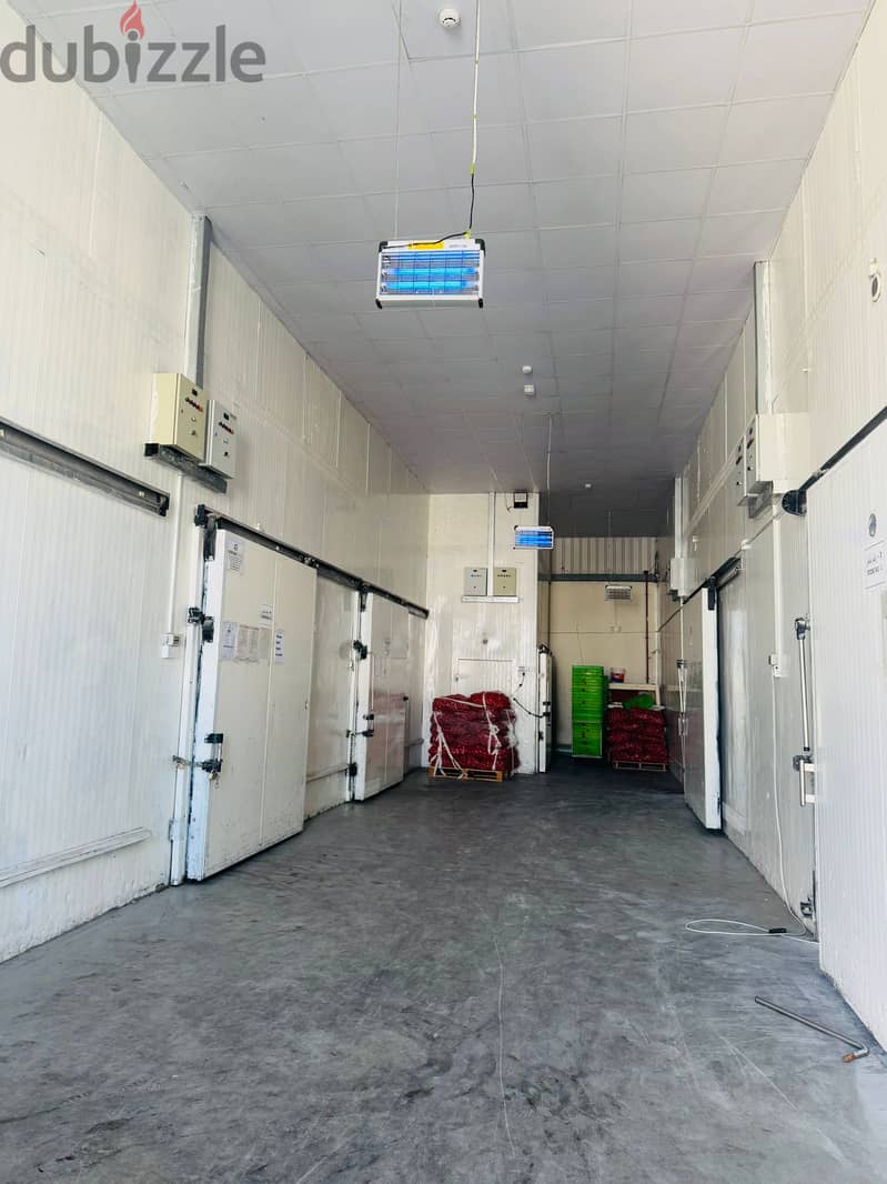 FROZEN & CHILLER STORAGE FOR RENT – INDUSTRIAL AREA, ST. 3 2