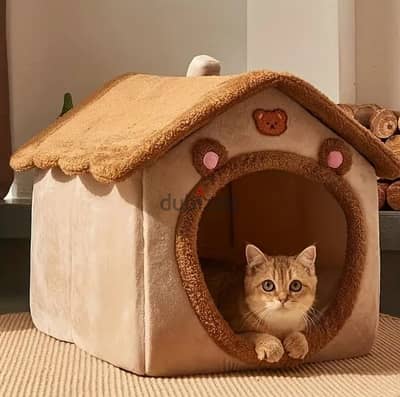 Cats House