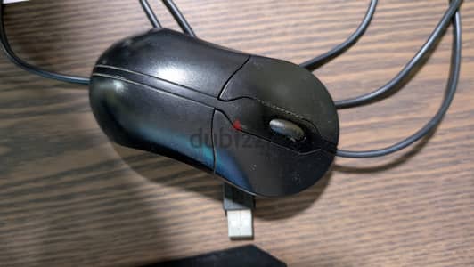 DELL Wired Mouse for Free