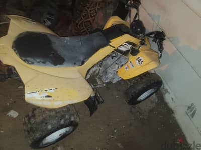 Can-Am ds250 2015