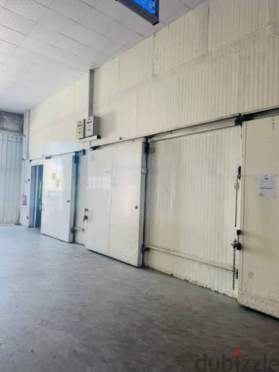 Temperature-Controlled Cold Storage for Lease – Industrial Area, St. 3