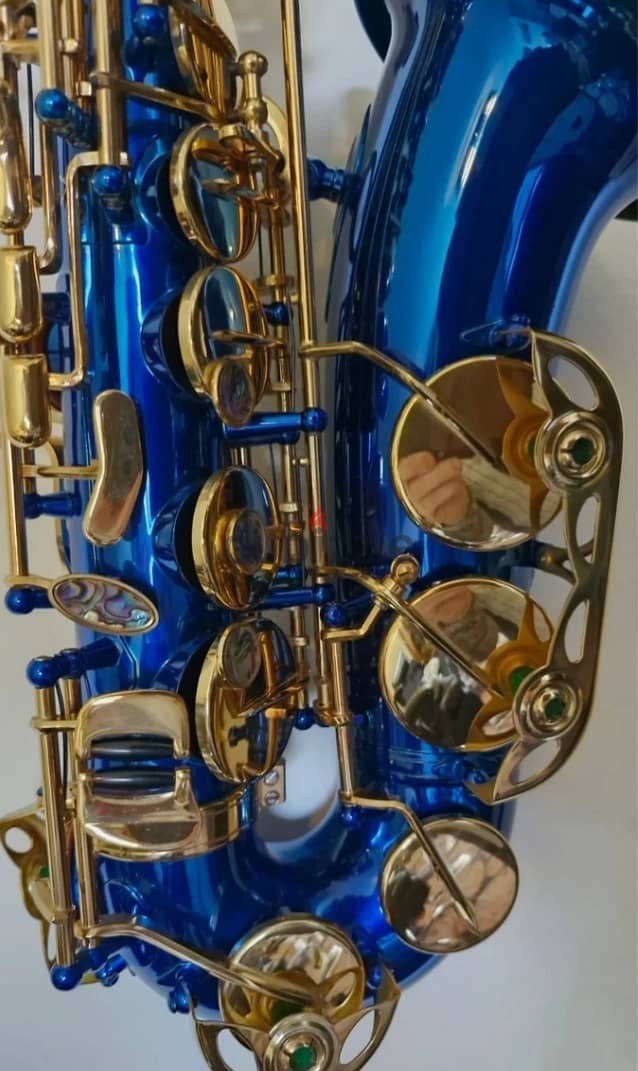 Alto saxophone 1
