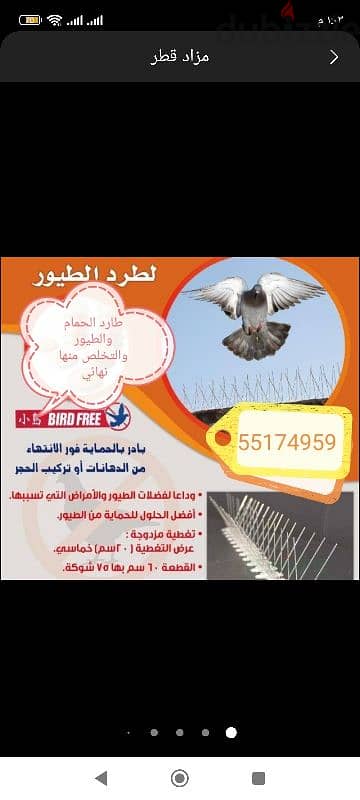 مانع الحمام والطيور 10