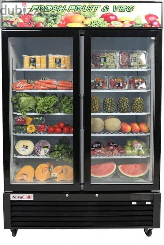 Big Medium All Type Fridge Freezer Chiller Repair Gas Refill Hot air 1