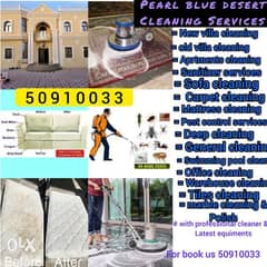 Cleaning Services 0