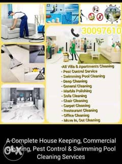 Cleaning and pest control services 0