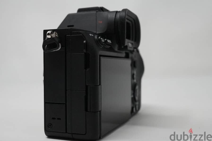Sony Alpha A7S III Mirrorless  (Body Only) 1