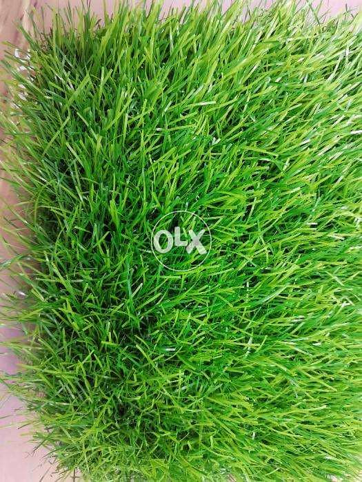 outdoor artificial grass carpet 6