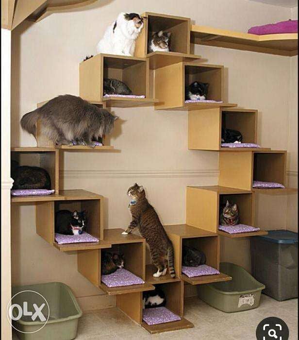 Cat House Pets Design Ideas 0