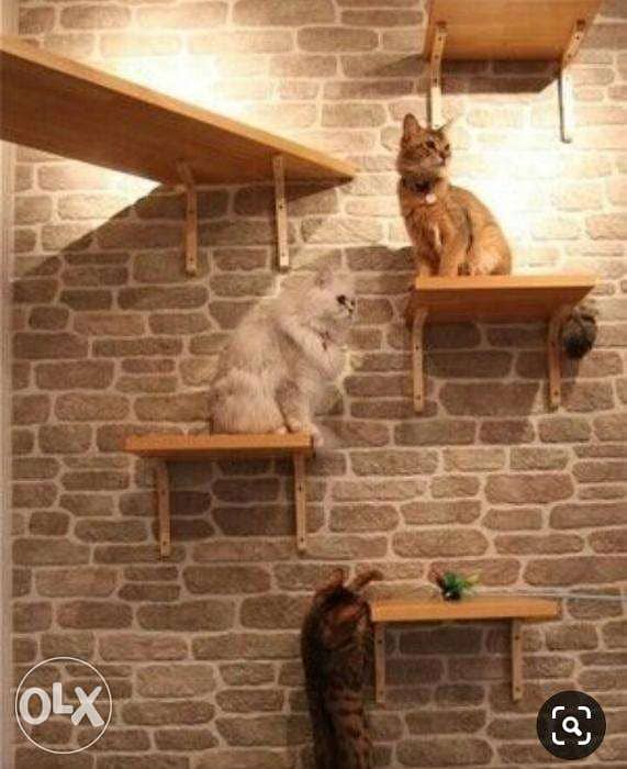Cat House Pets Design Ideas 1