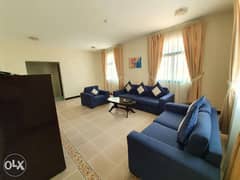Compound Furnished Villa in Old Airport 0