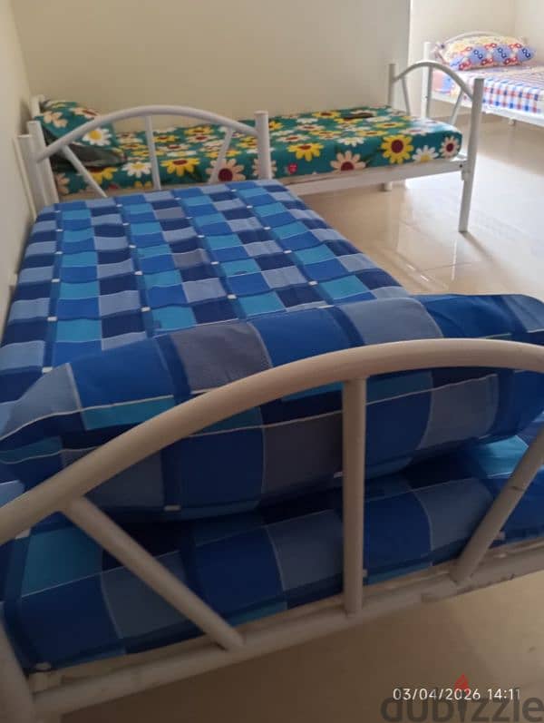 FEMALE EXECUTIVE BEDSPACE 650/= 5