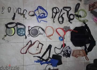 Dog accessories and various items