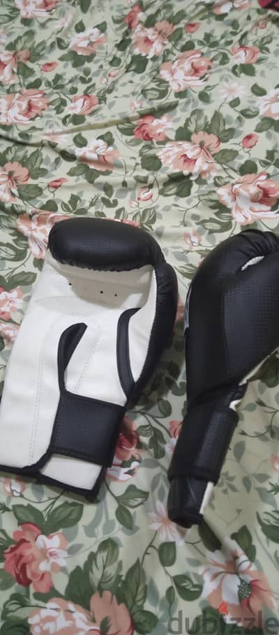 Everlast Pro Boxing Gloves – Mint Condition & Premium Quality!