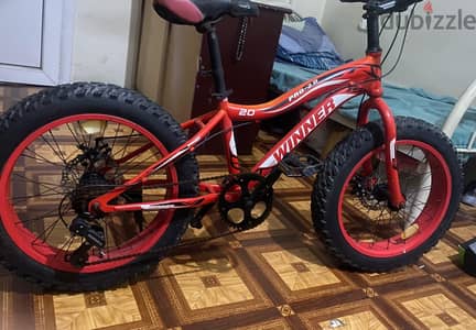 winner cycle pro-2.0