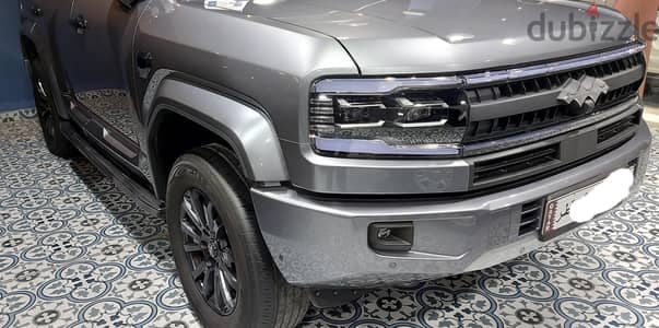 BYD Other 2025