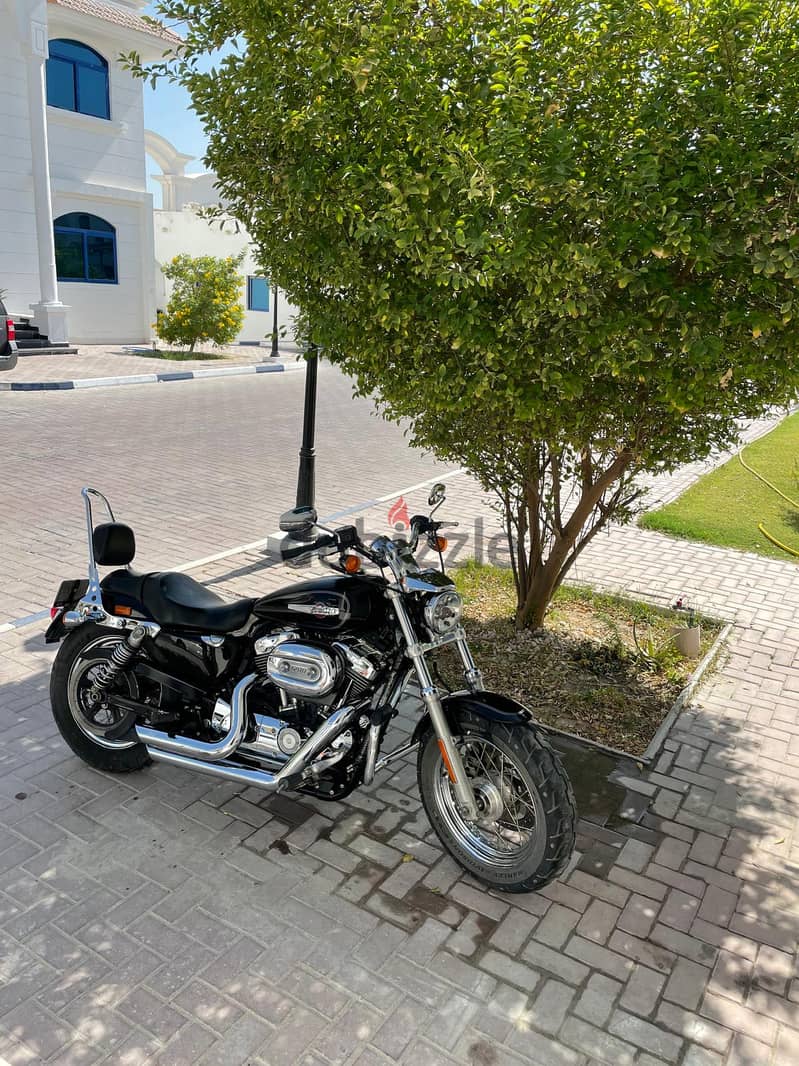 2017 black harley sportster going cheap only 5k km done valid istemara 2
