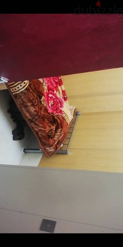 Partition Room for single lady in Mansura