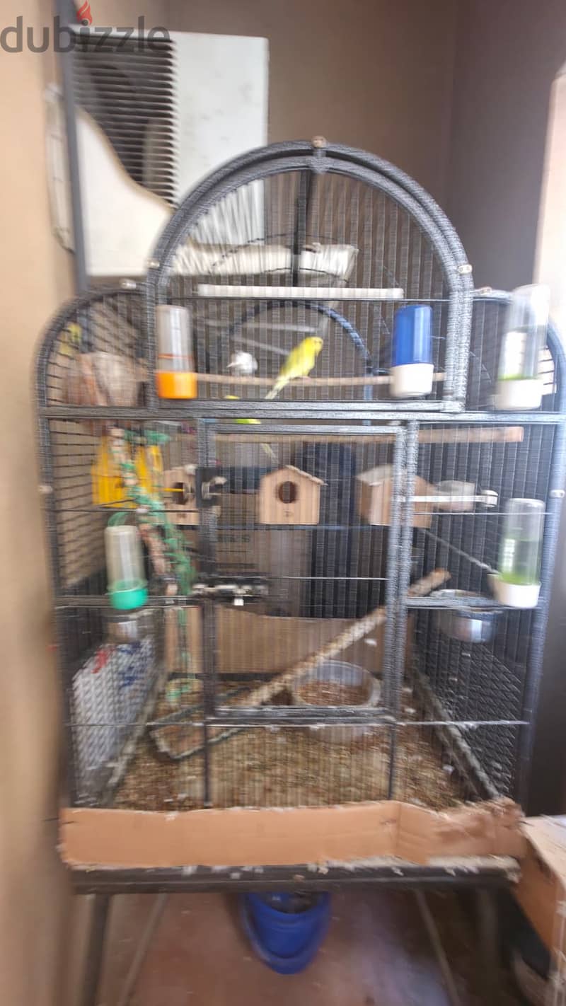  Large Standing Metal Bird Cage on Rollers (Cage Only) 2