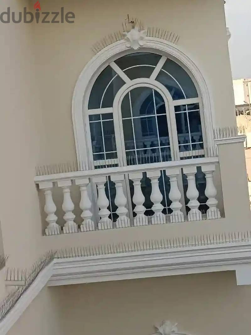 طارد الحمام والطيور 1