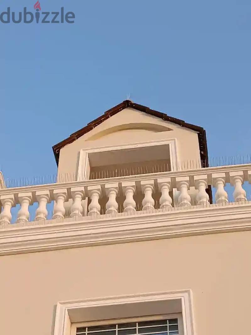 طارد الحمام والطيور 9