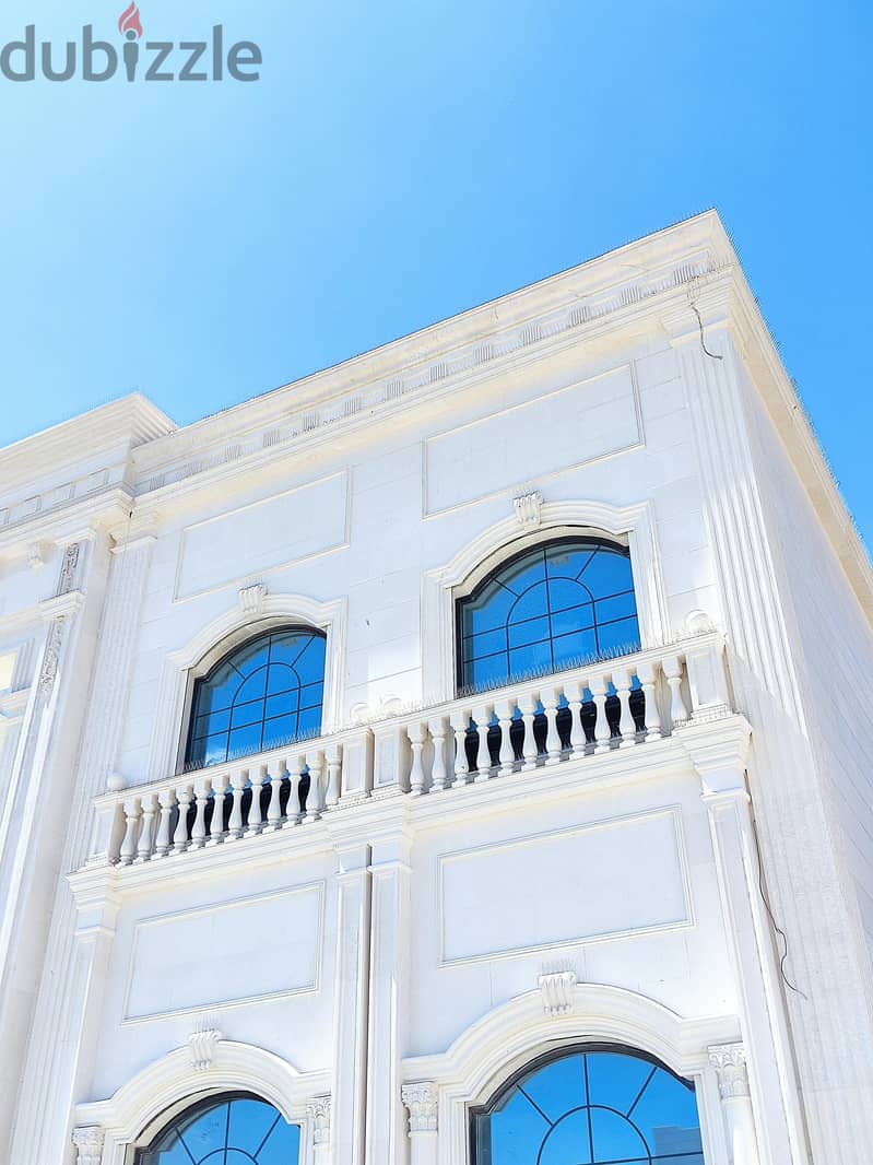 طارد الحمام والطيور 11