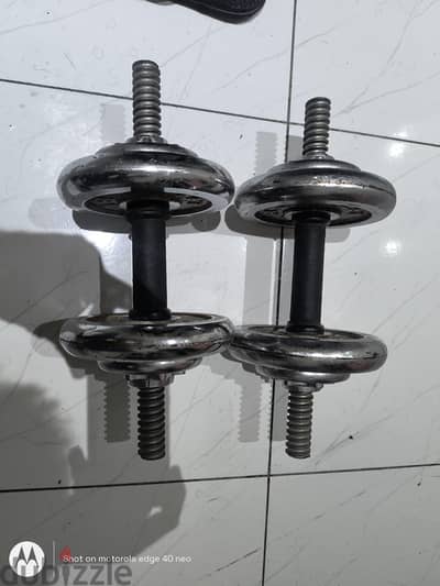 Dumbbells for sale