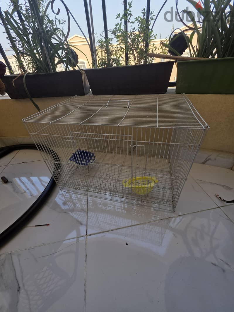 Bird cage and accessories 1