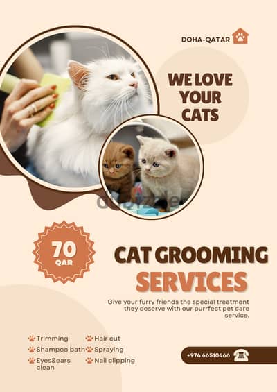 Cat grooming service