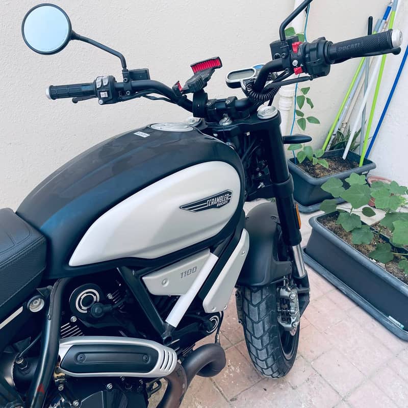 Ducati Scrambler 1100 2021 - Only 4,000 km - Full Service History 5