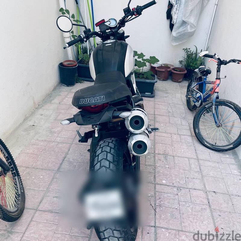 Ducati Scrambler 1100 2021 - Only 4,000 km - Full Service History 7