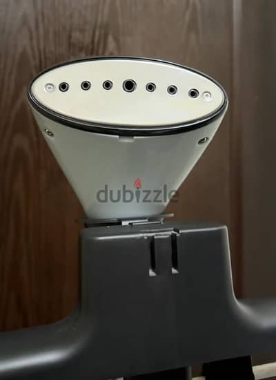 GEEPAS STEAMER