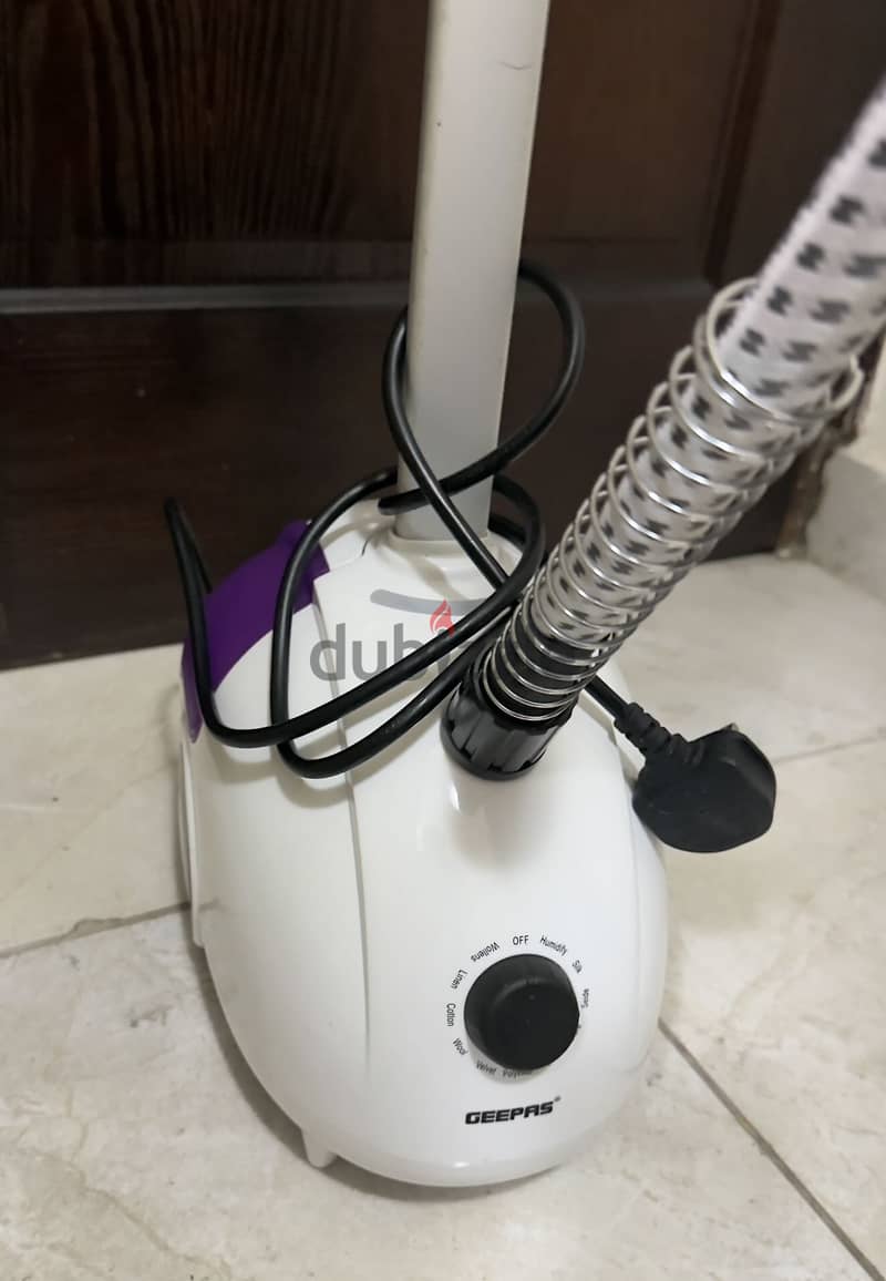 GEEPAS STEAMER 1