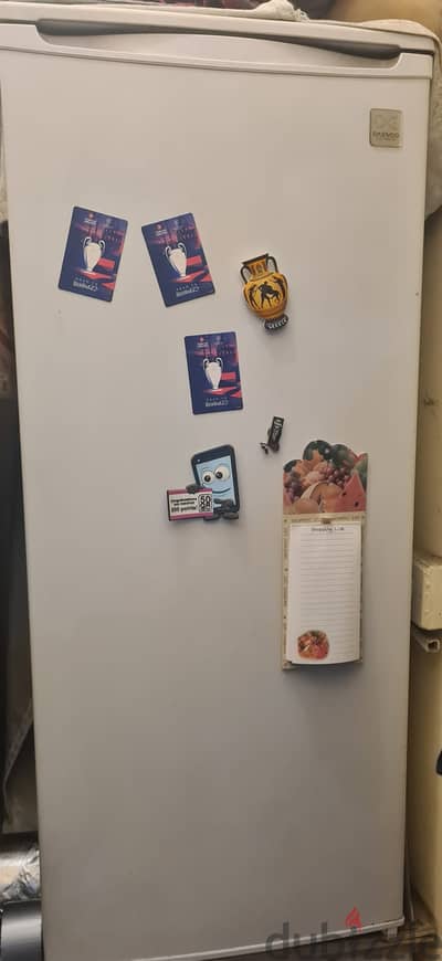 An excellent standing freezer for sale