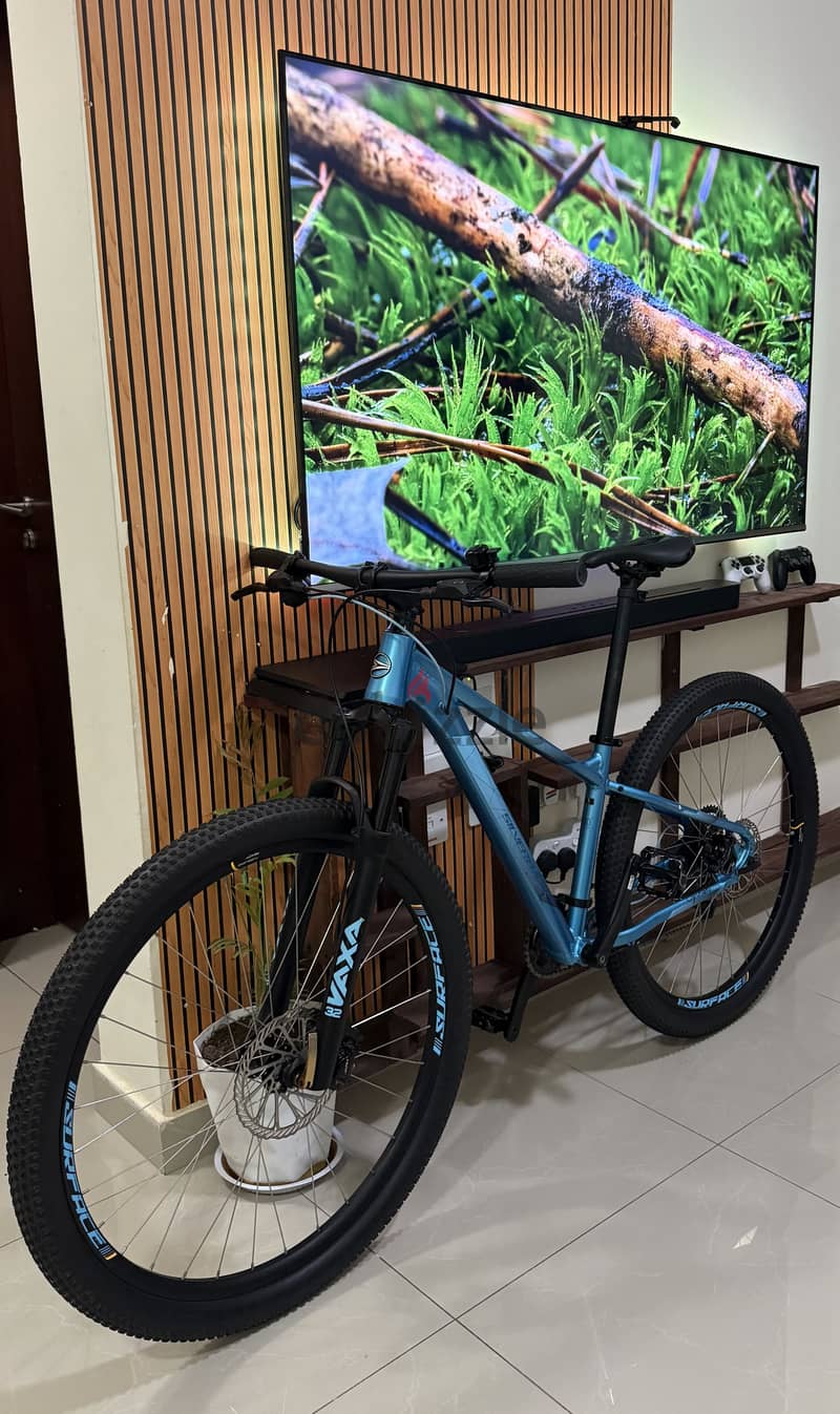 SILVERBACK SPLASH COMP 29er 2