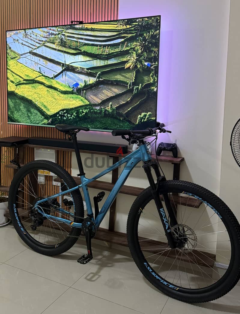 SILVERBACK SPLASH COMP 29er 5