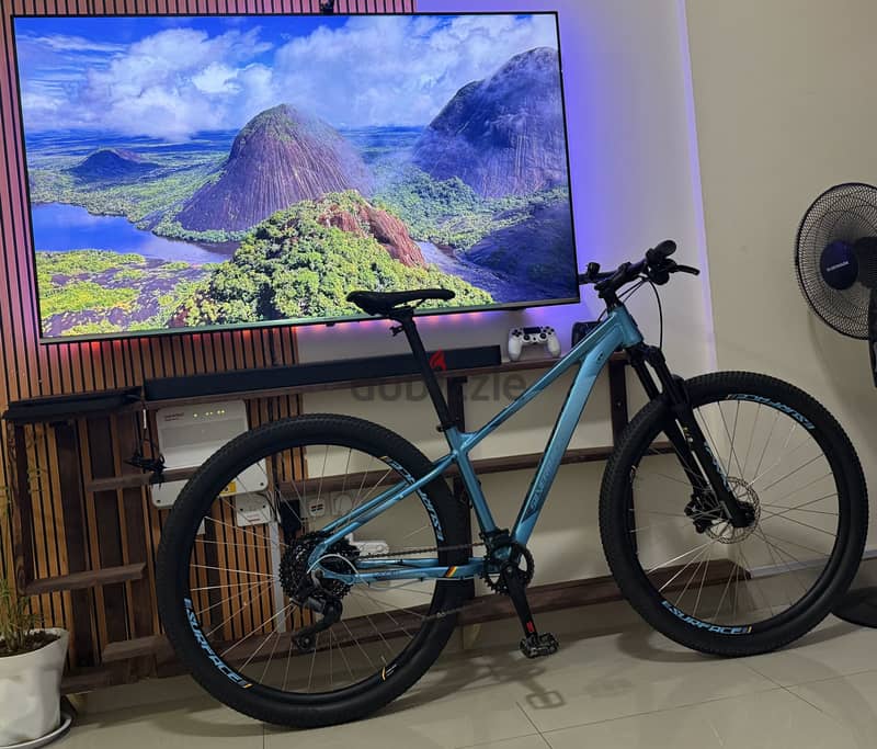 SILVERBACK SPLASH COMP 29er 8