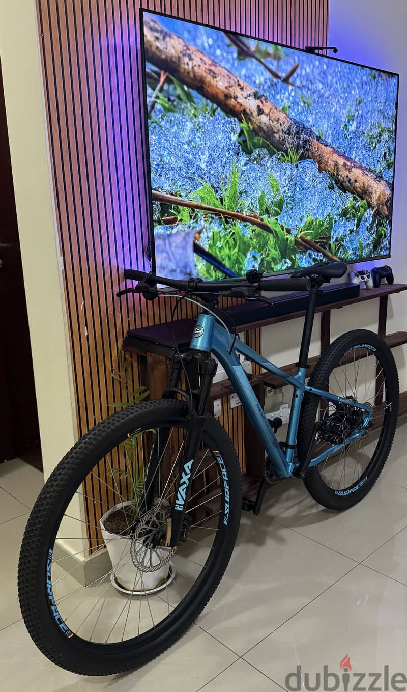 SILVERBACK SPLASH COMP 29er 9