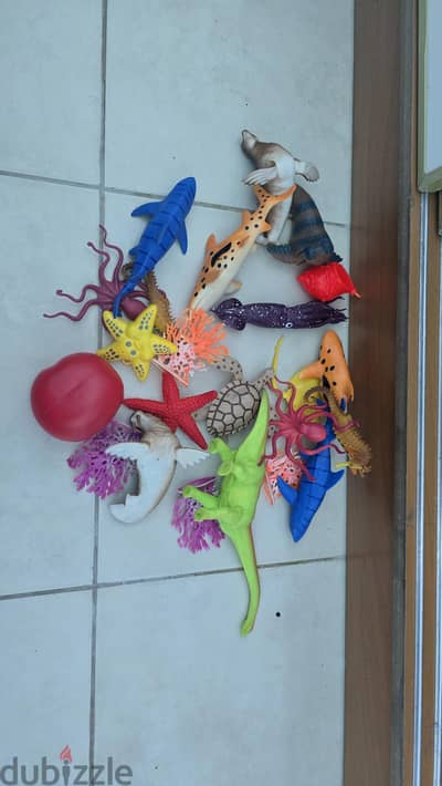 sea animals