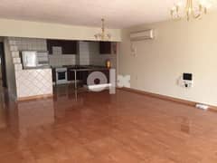 3 BHk Semi furnished Compound Apartment old airport 0