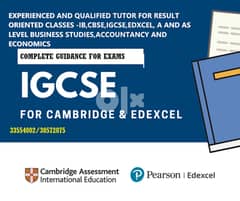 TUTOR-  ECONOMICS,BUSINESS STUDIES,ACCOUNTS,IB,CBSE,EDXCEL,GCSE 0