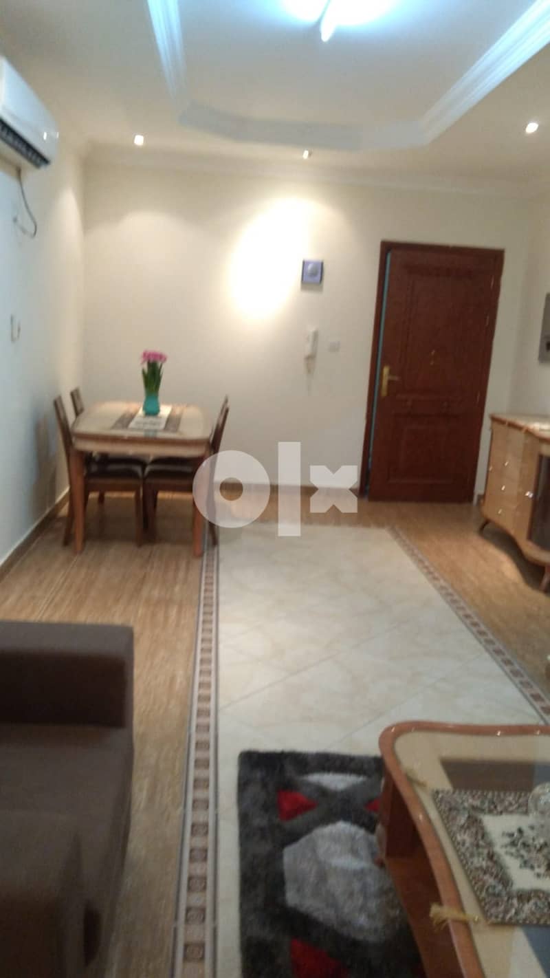 2 bhk full furnished  apartment Mansoura 5