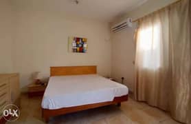 Fully Furnished Private 1 bedroom Apartment In Ainkhalid 0