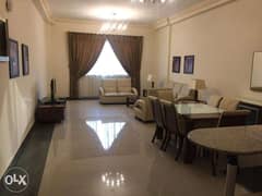 1 BR Fully Furnished Apartment With Balcony 0