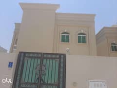 4 Bachelors villas for rent al meshaf 0