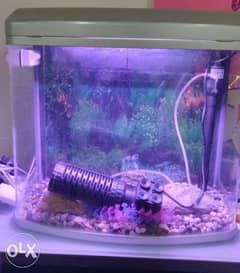Fish tank with decorative accessories, pumps and Other accessories 0