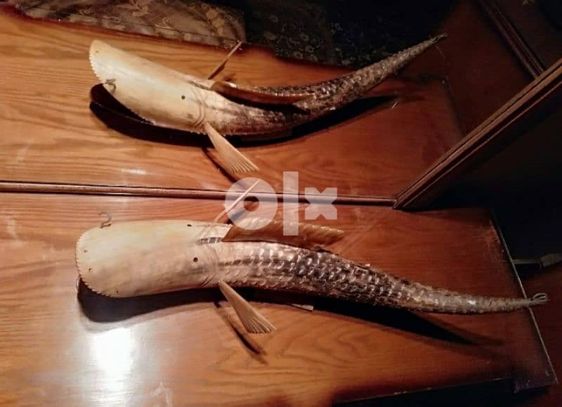 منحوتة علي شكل سمكة من قرن الجاموس من الستينيات 11