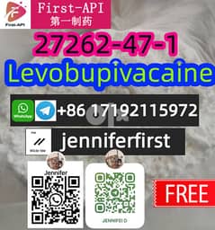 Levobupivacaine	 27262-47-1 0