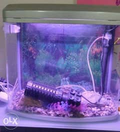 High power oxygen pump for fish tank. . . 0
